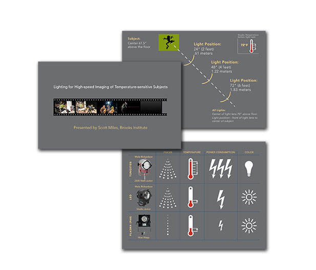 This image shows three sample screen views selected from a Prezi designed and produced by Program Chair, Scott Miles of Brooks Institute for Photography, Ventura, California. The presentation is about comparing three types of light devices and their effects on live studio objects to be photographed. The Prezi design incorporates graphics of frogs as  an example of a temperature sensitive subject. Sample 1 is the title page for the presentation. Sample 2 is a graphic showing the studio setup for lighting. Sample slide 3 compares three lighting devices and compares them in one chart. Click the link on the left to view the full Prezi presentation.